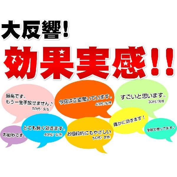 気になるニオイ対策 消臭サプリ Feクロロフィル 送料無料 | ブランド登録なし | 03