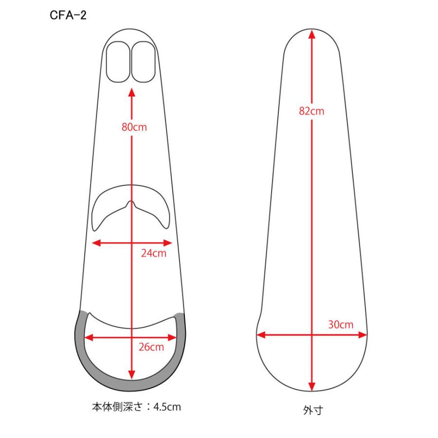 ビオラカーボンファイバー製ハードケース　CFA-2Sサテン |  | 01