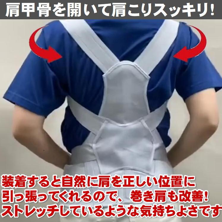 姿勢矯正ベルト 猫背 骨盤 姿勢 矯正 ベルト 背すじベルト 腰痛 補正 補整 サポーター 美姿勢 肩甲骨 ねこ背 巻き肩 肩 背中 腰痛 サポート  背筋ベルト 日本製 |  | 10