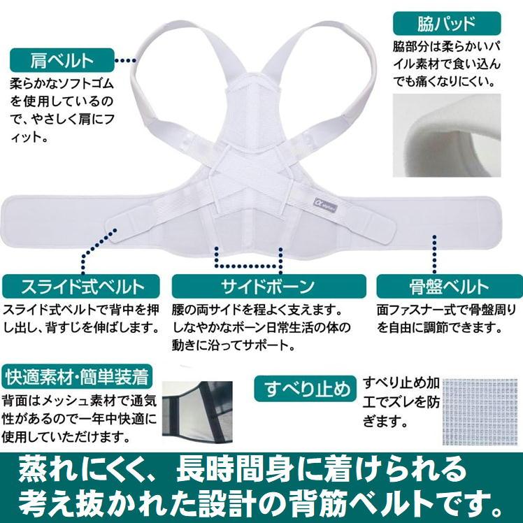姿勢矯正ベルト 猫背 骨盤 姿勢 矯正 ベルト 背すじベルト 腰痛 補正
