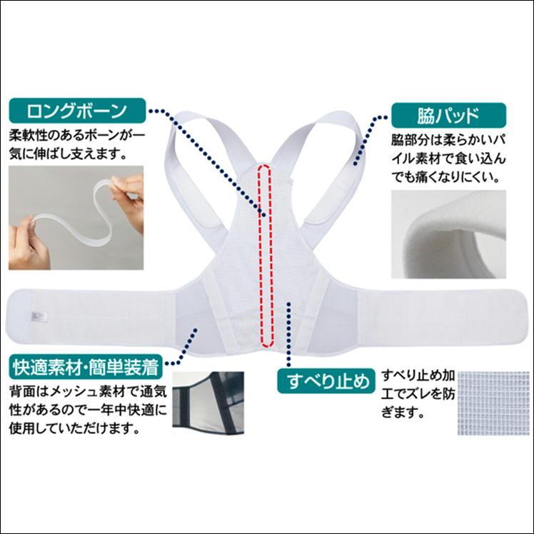 矯正用品・補助ベルト SHINAMON Amazon | 反せむし矯正ベルト、座位変形、大人と子供に共通