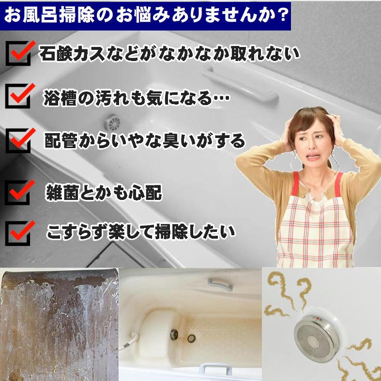 風呂釜洗浄 二つ穴 1つ穴用 お風呂 配管洗浄 お風呂掃除 洗剤 日本製