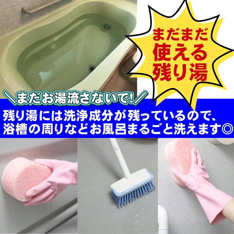 風呂釜洗浄 二つ穴 1つ穴用 お風呂 配管洗浄 お風呂掃除 洗剤 日本製