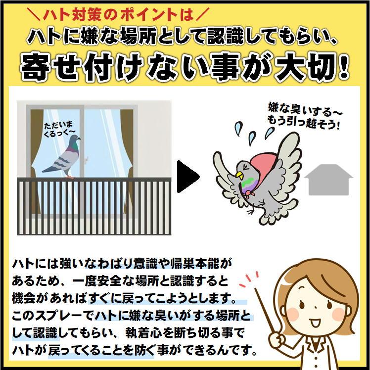 鳩よけ 効果絶大 業務用 ベランダ 鳩 撃退 駆除 ハト 対策 グッズ 鳩用忌避剤 はと 追い払う 鳩除け 鳥よけ イカリ消毒 バードクリンスプレー 420ml おまけ付｜sunroad1｜07