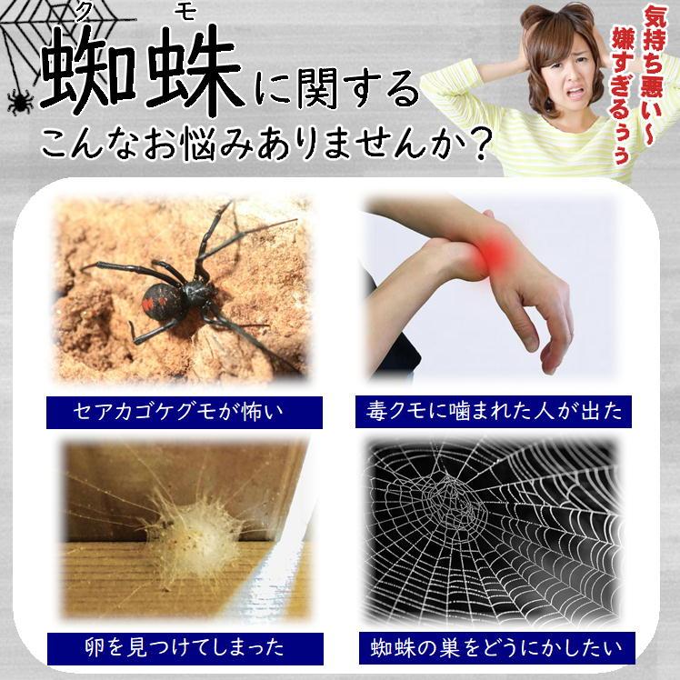 蜘蛛の巣 除去 スプレー クモ 駆除 対策 屋外 くも いなくなる 殺虫スプレー 強力 イカリ消毒 スーパークモジェット2Way 450mL 日本製 おまけ付 |  | 02