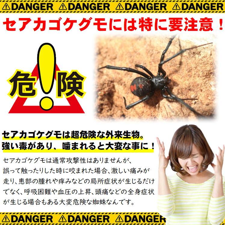 蜘蛛の巣 除去 スプレー クモ 駆除 対策 屋外 くも いなくなる 殺虫スプレー 強力 イカリ消毒 スーパークモジェット2Way 450mL 日本製 おまけ付 |  | 03