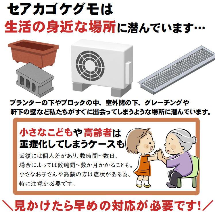 蜘蛛の巣 除去 スプレー クモ 駆除 対策 屋外 くも いなくなる 殺虫スプレー 強力 イカリ消毒 スーパークモジェット2Way 450mL 日本製 おまけ付 |  | 04