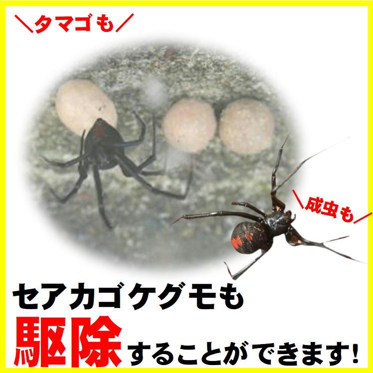 蜘蛛の巣 除去 スプレー クモ 駆除 対策 屋外 くも いなくなる 殺虫スプレー 強力 イカリ消毒 スーパークモジェット2Way 450mL 日本製 おまけ付 |  | 08