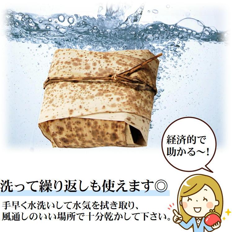 おにぎり たけかわ 天然 10枚入り 紐付き 竹皮 お弁当箱 おしゃれ 和