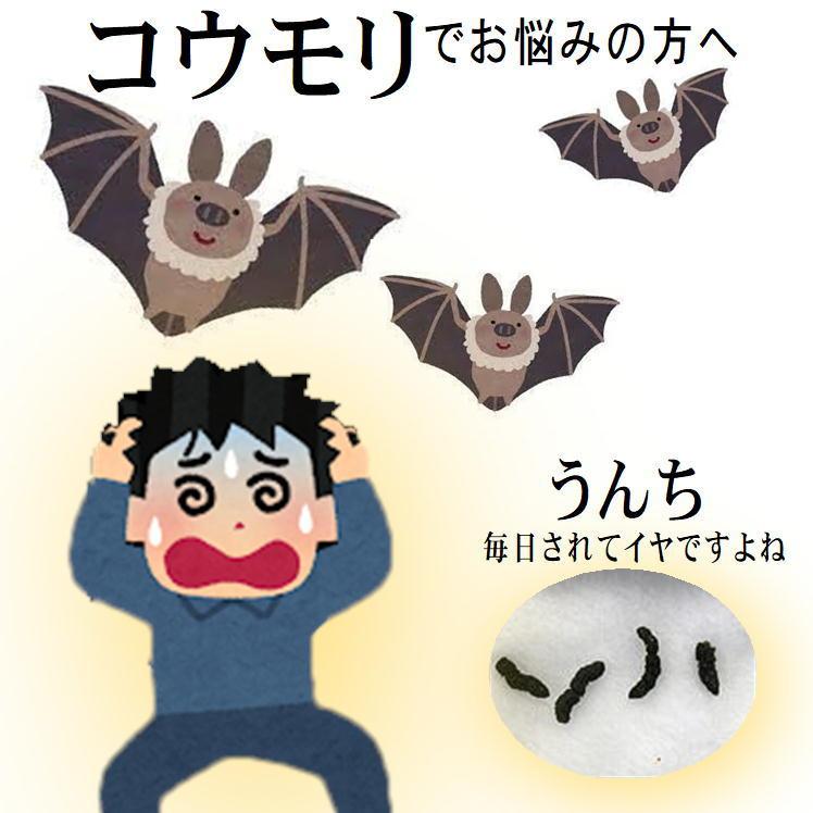 かなり アマチュア カビ コウモリ 靴 投げる 兵隊 同志 施設