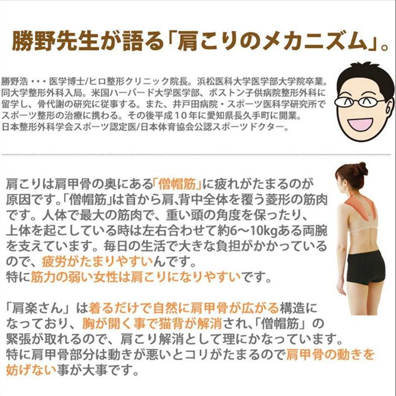 フェレナ　肩甲骨インナー　3L　新品未使用箱付き　姿勢矯正　肩こり　猫背 肩甲骨インナー – FEALENA（フェレナ）