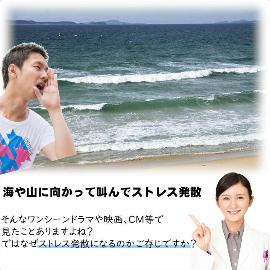 1046円 クリアランスsale 期間限定 ストレス 解消 発散 ダイエット 叫ぶ 絶叫 大声 遮音 トレーニング 筋トレ 脂肪燃焼 カロリー消費 面白 生活 応援 便利 グッズ ハクション大魔王 魔法の絶叫壺