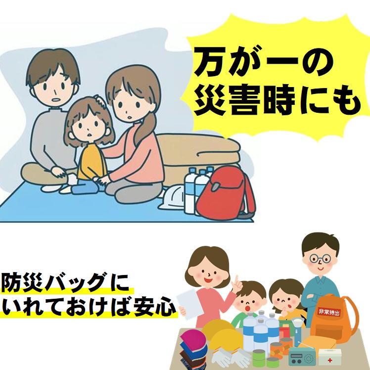 携帯用 座布団 外出用 クッション 折りたたみ ゲルクッション 軽量 コンパクト 持ち運び 便利 グッズ スポーツ観戦 学校 行事 腰痛 対策 シート おまけ付 2枚組｜sunroad1｜17