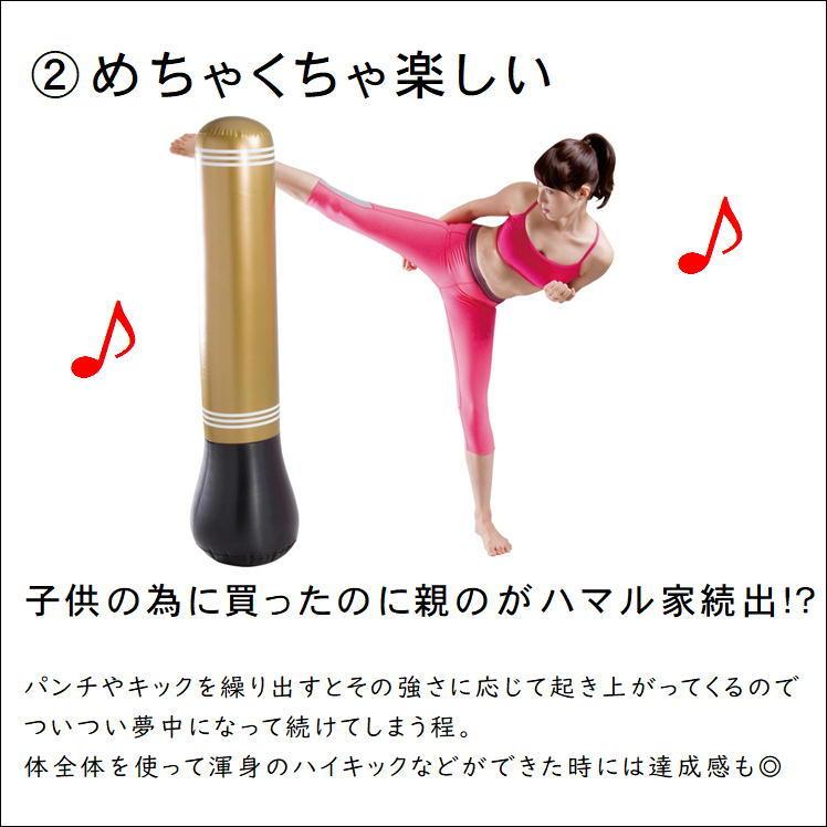 サンドバッグ パンチバッグ エアー スタンディング バッグ ストレス