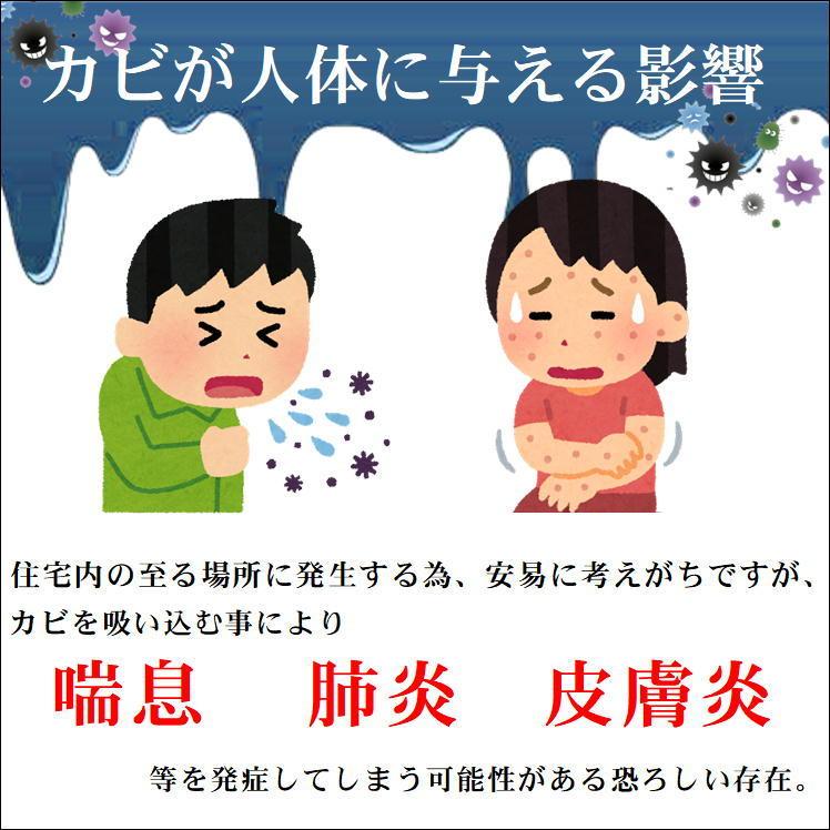 防カビ 押入れ クローゼット カビ 予防 対策 便利 グッズ ２個組 バイオくん 押入れ用 抗カビ 繁殖 抑える お助け アイテム 生活 応援 支援 うれしい 日本製｜sunroad1｜04