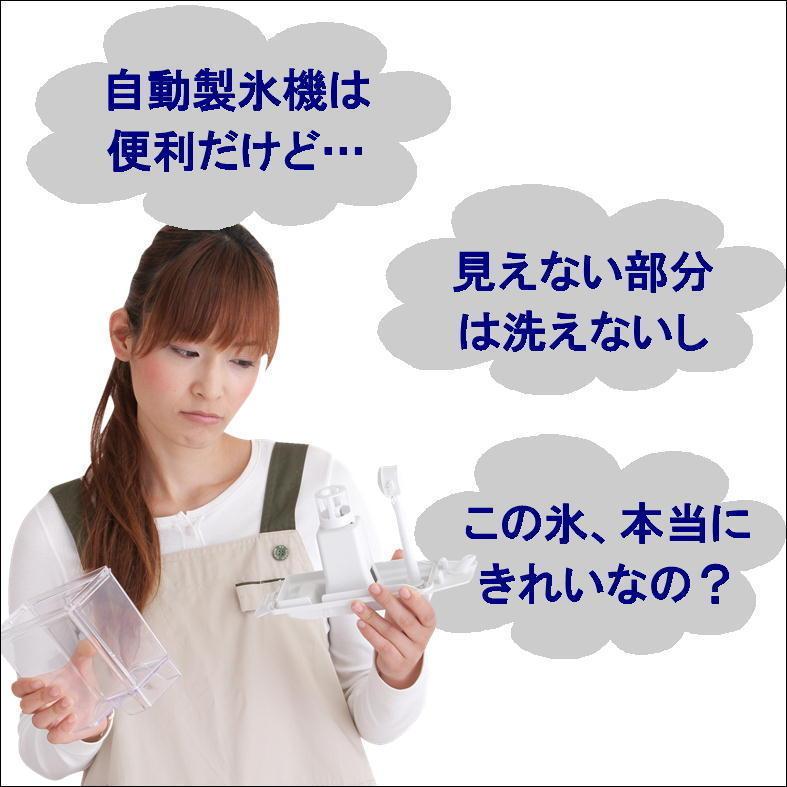 氷 クリーニング 冷蔵庫 製氷機 洗浄剤 入れるだけ 給水タンク パイプ