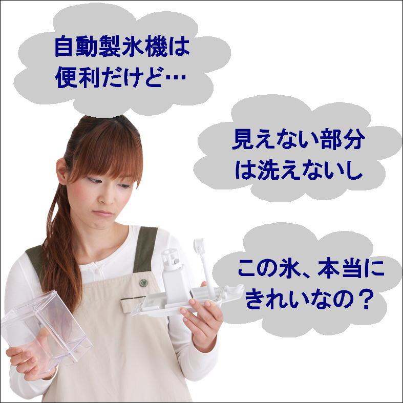 製氷機 洗浄 クリーナー 洗浄剤 家庭用 冷蔵庫 氷 クリーニング 簡単 