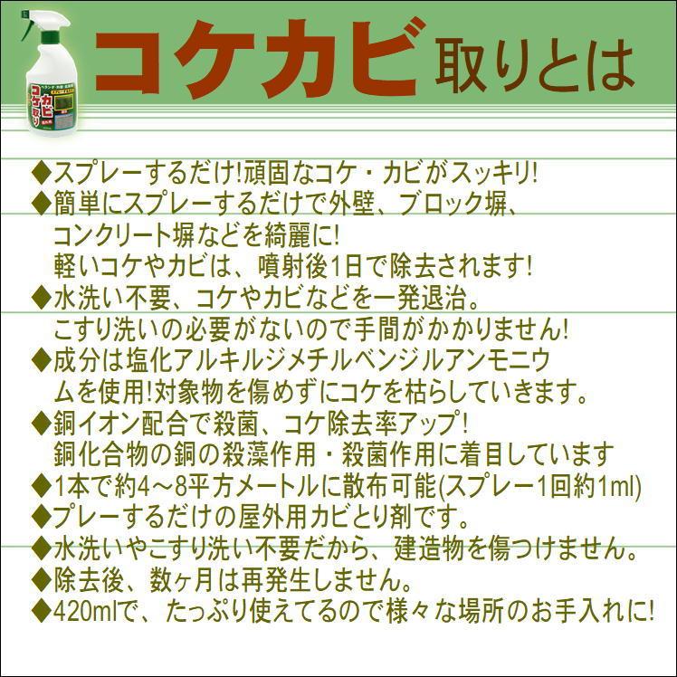 最大80 オフ コケカビ取り 4ml X3本組 コケ カビ こけ かび 苔 掃除 除去 防止 スプレー コケ取り カビ取り 外壁 墓石 ベランダ 門柱 玄関 ブロック塀 コンクリート Discoversvg Com