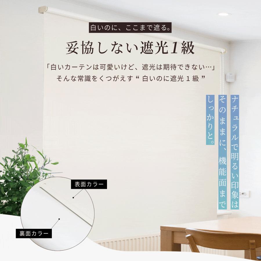 ロールスクリーン 白いロールスクリーン カーム 1本 遮光1級 選べる4