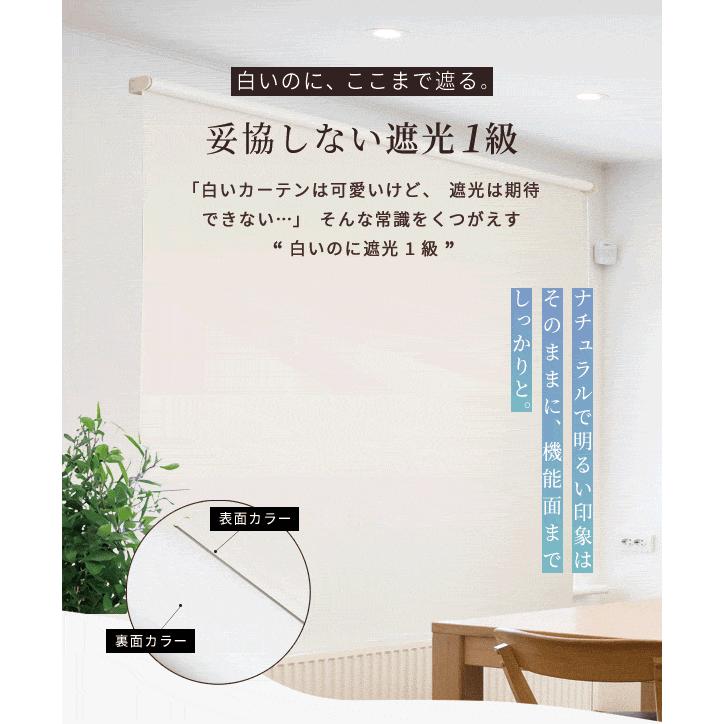 ロールスクリーン 白いロールスクリーン カーム 1本 遮光1級 選べる4