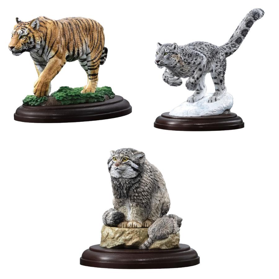 いきもの大図鑑ディスプレイモデルコレクション 野生のネコ科動物