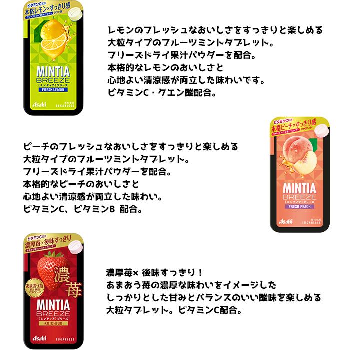 アサヒグループ食品 ミンティアブリーズ バラエティセット 定番