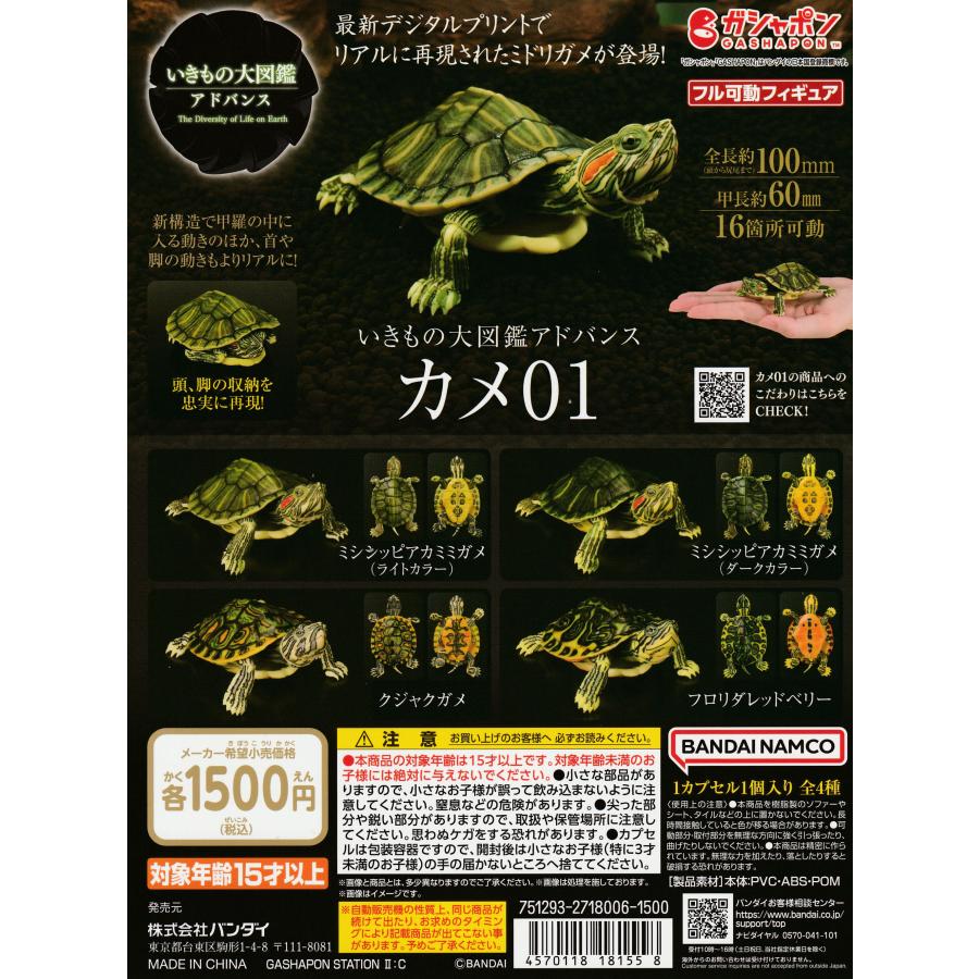 いきもの大図鑑アドバンス カメ01 [全4種セット フルコンプ] ガチャガチャ カプセルトイ