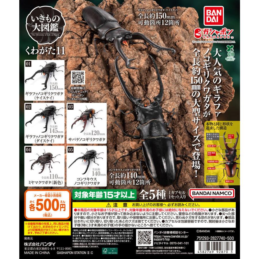 ★希少★オニクワガタ 標本 11匹セット いきもの大図鑑 くわがた11 【全5種 コンプリート セット