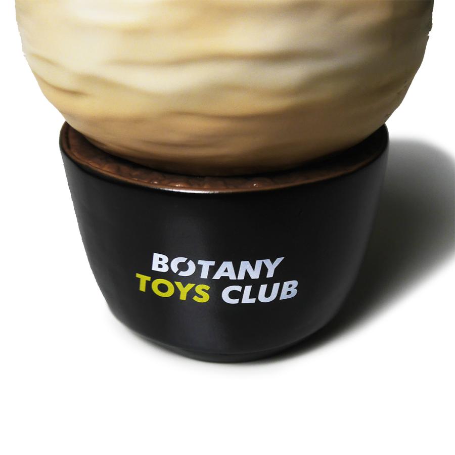 グラキリス フィギュア パキポディウム パキポディウムグラキリス