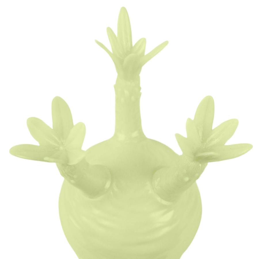 パキポディウム・グラキリス 【 ソフビ 】 パキポディウム グラキリス-PG266 | Supervoid Caudex