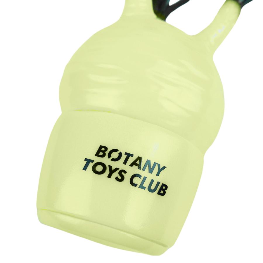 グラキリス フィギュア パキポディウムグラキリス ソフビ ソフビ