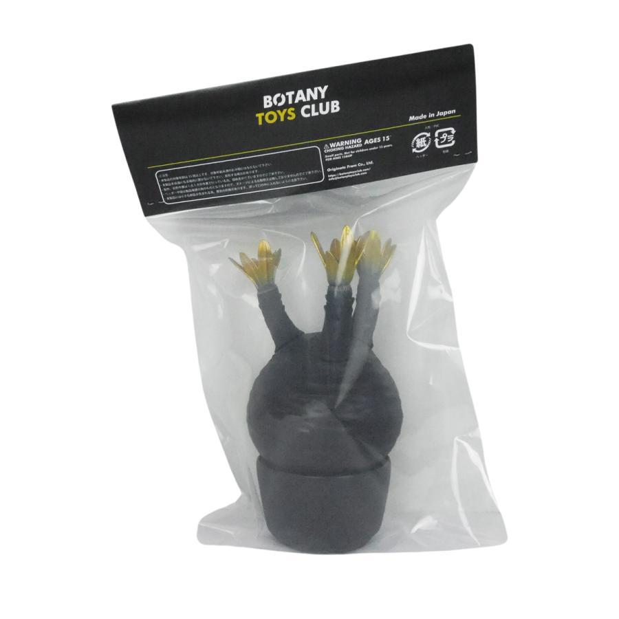 HC　オーダー　グラキリス　フィギュア グラキリスフィギュア販売中🔥 #パキポディウムグラキリス