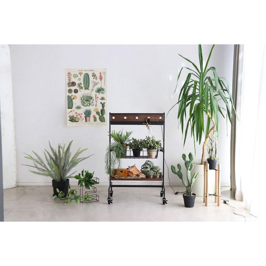 植物 棚 2段 植物用棚 植物棚 プランターワゴン インテリアワゴン