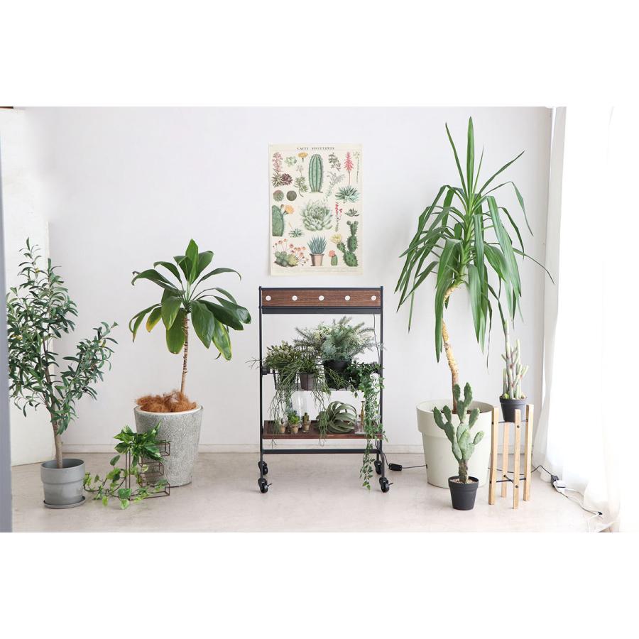 植物 棚 2段 植物用棚 植物棚 プランターワゴン インテリア 植物 棚 2段 植物用棚 植物棚 プランターワゴン インテリア