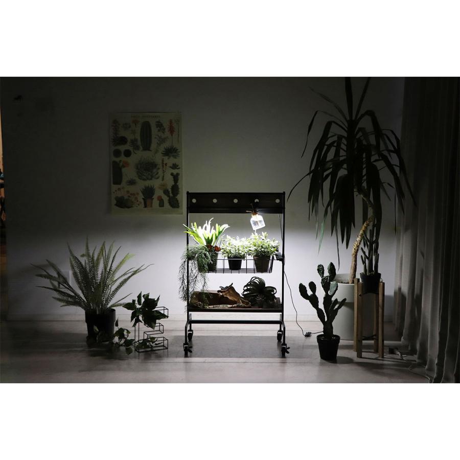 植物 棚 2段 植物用棚 植物棚 プランターワゴン インテリア 植物 棚 2段 植物用棚 植物棚 プランターワゴン インテリア