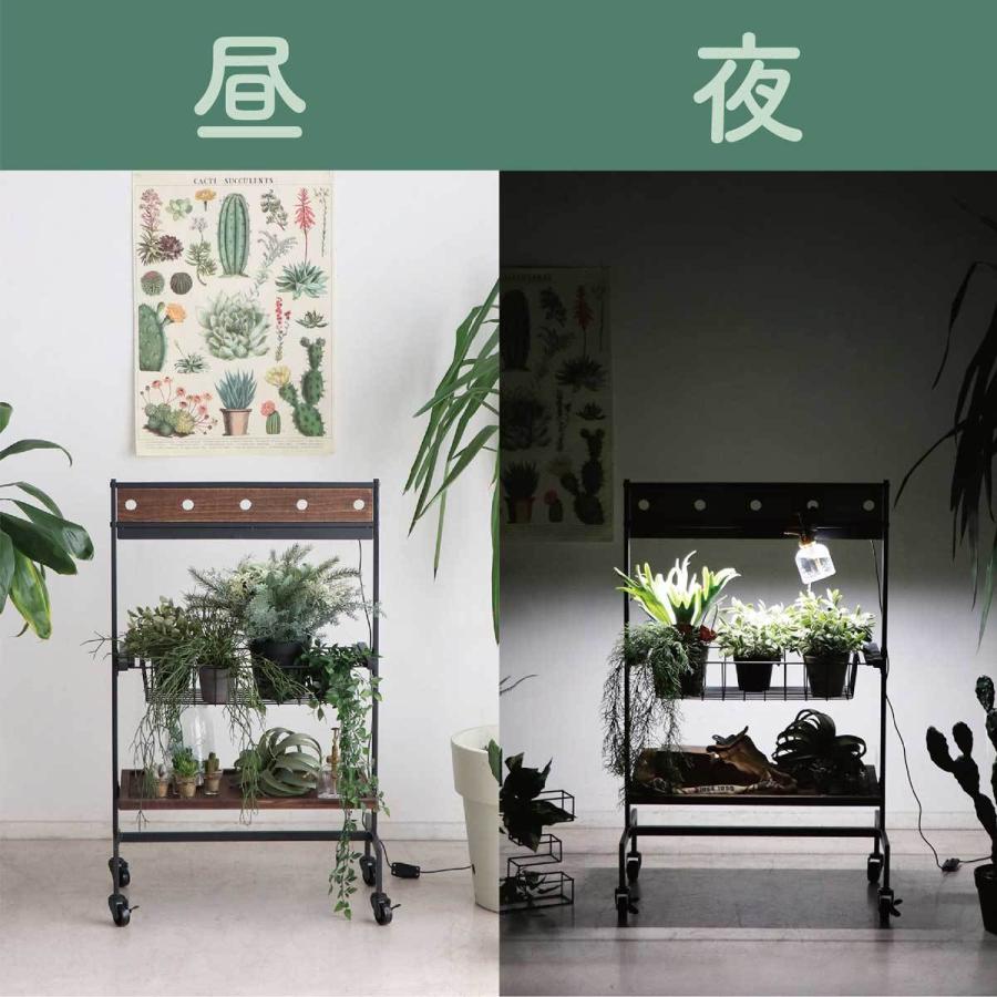 No242 　 簡単移動、植物棚 、棚幅ワイド、black　3段 No242 簡単移動、植物棚 、棚幅ワイド、black 3段