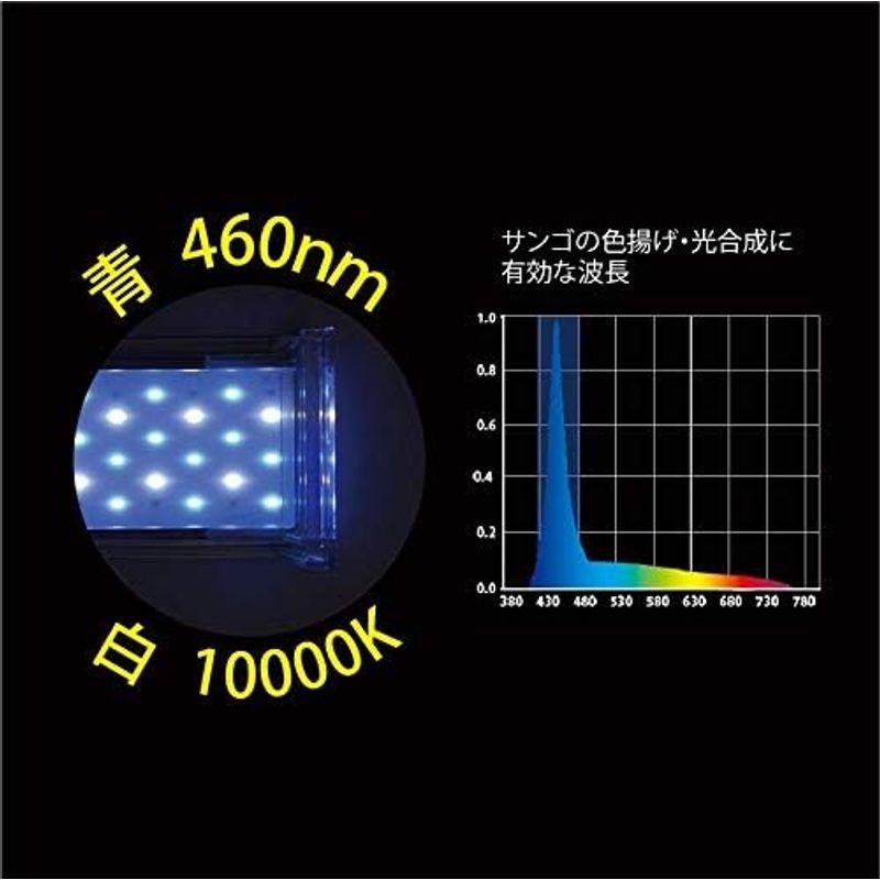 新春SALE！ ゼンスイ ナノ レビル(nano LeviL) 海水水槽用 ブルーホワイト 300 【Q1596143492】(9822円)