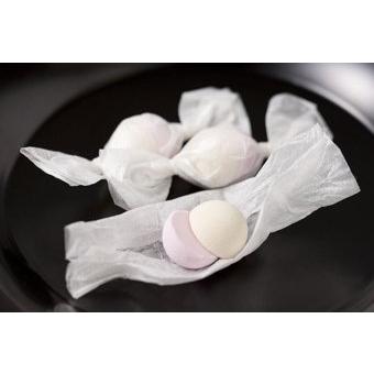 1053円 スーパーsale セール期間限定 干菓子 打ち菓子 和三盆糖製サービスケース 紅白くす玉 入 創業安政三年 和菓子 東京 青野総本舗