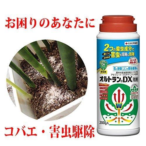 コバエ 害虫 駆除 オルトラン 0g 観葉植物 花 野菜 A B01etkiims 2413 Sunset 通販 Yahoo ショッピング