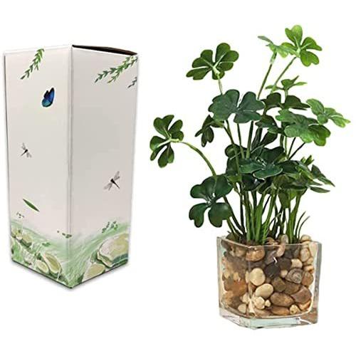 美しいaicvhin 人工観葉植物 光触媒 プレミアム 造花 観葉植物 簡単世話いらず 水やり不要 フェイクグリーン ガラス鉢 四つ葉 のクローバー 寝袋 シュラフ Moneystore Be