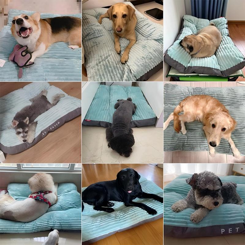 大型犬 ベッド 洗えるカバー ペットベッド 犬用マット 滑り止め 厚さ約
