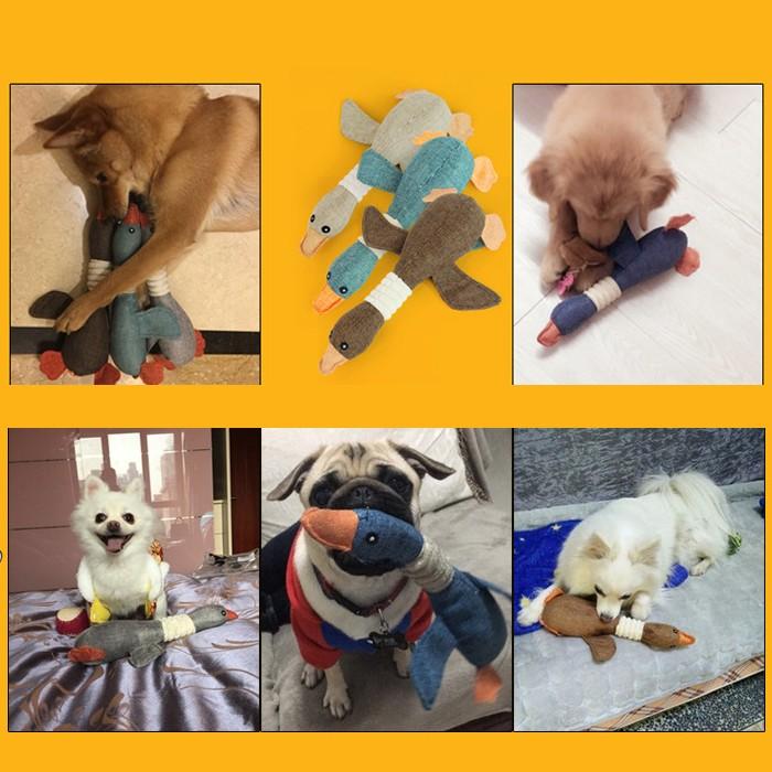 犬用 噛むおもちゃ ペット 大型犬 中型犬 柴犬 ぬいぐるみ おもちゃ 音出る 犬用おもちゃ 歯ぎ清潔 丈夫 発声装置搭載 犬玩具 ストレス解消 運動不足 50cm Yomt101m Sunshine Sibata 通販 Yahoo ショッピング