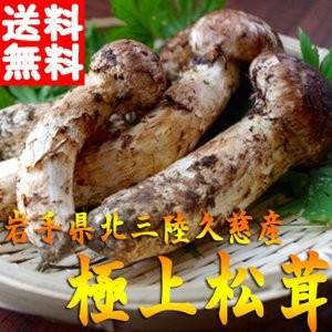 予約販売 松茸 国産 極上松茸（マツタケ）100g つぼみ 岩手 北