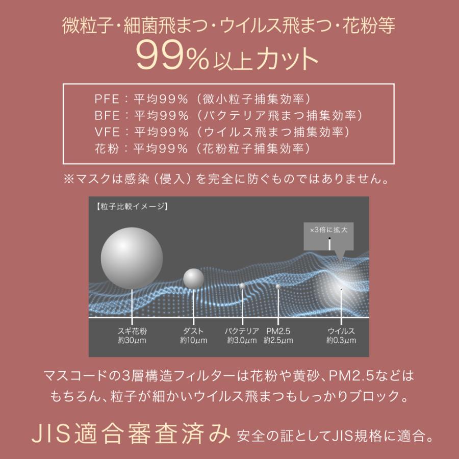 MASCODE マスコード マスク 3dマスク グリッター 不織布 立体 男性用