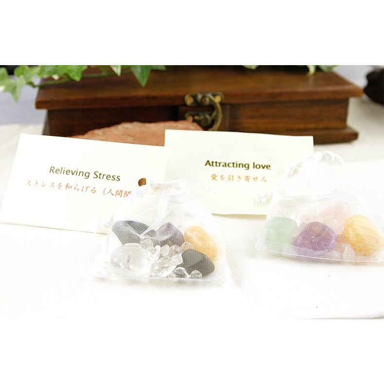 お守り パワーストーン 5つの願い Fortune Bag レディース アクセ