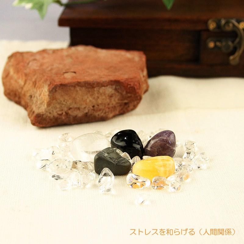 お守り パワーストーン 5つの願い Fortune Bag レディース アクセ