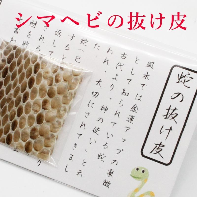 シマヘビ 抜け皮 蛇の抜け殻 御守り開運グッズ 金運アップ 金運 シマヘビ 抜け皮 蛇の抜け殻 御守り開運グッズ 金運アップ 金運
