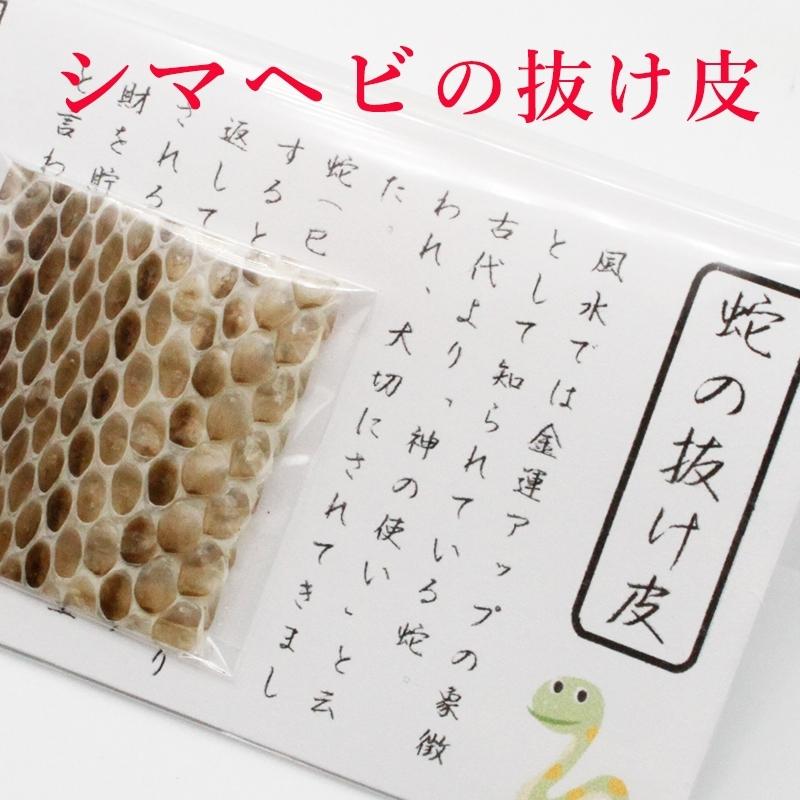 シマヘビ 抜け皮 蛇の抜け殻 御守り開運グッズ 金運アップ 金運 財布 開運祈願 金運財布 長財布 財運 金運アップ祈願 金運UP祈願 風水 グッズ メンズ レディース｜sunsmile2014