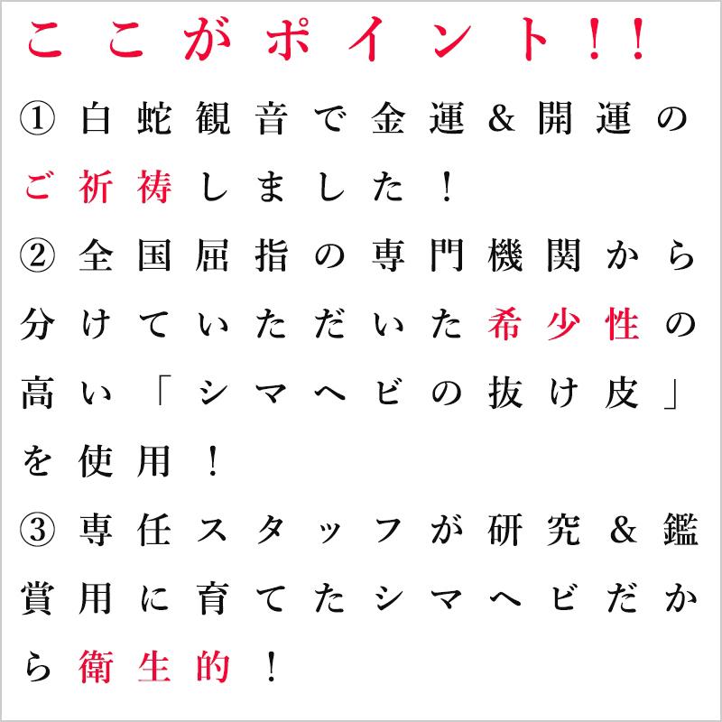 シマヘビ 抜け皮 蛇の抜け殻 御守り開運グッズ 金運アップ 金運 財布