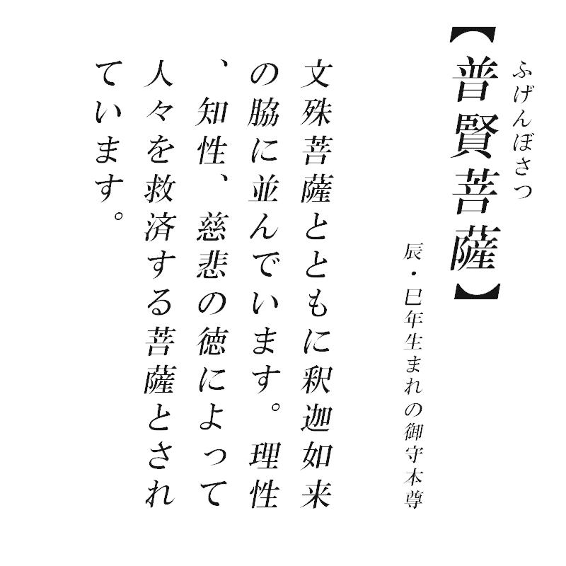 古美金調 普賢菩薩 像 金属製 仏像祈念セット 最高級 白檀香 50個入